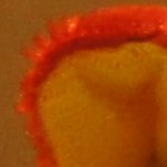 http://tweakers.net/ext/f/Rrx9Oq8MmdHA6uk7Nzhy2QoP/full.jpg http://tweakers.net/ext/f/Rrx9Oq8MmdHA6uk7Nzhy2QoP/full.jpg