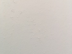Renovlies detail3