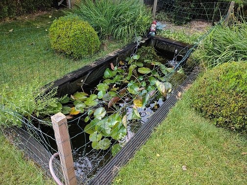 Afbeeldingslocatie: https://tweakers.net/ext/f/RyEC042PLu4y5CBgCFo43pT9/full.jpg