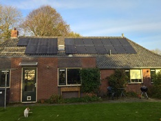 In het zonnetje