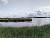 Afbeeldingslocatie: https://tweakers.net/ext/f/SlAt0XXn19IslfXwStcw4FBF/thumb.jpg