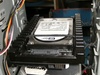 CM 590 HDD elastieken (velociraptor)