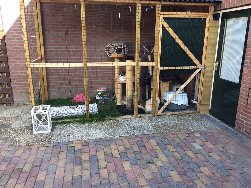Afbeeldingslocatie: https://tweakers.net/ext/f/TOivFCQeWyyaMXuy2rmJIG1g/full.jpg