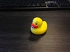Afbeeldingslocatie: http://tweakers.net/ext/f/TPWwSHyodoy9vlry71J7IVZE/thumb.jpg