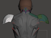 Back