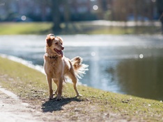 Afbeeldingslocatie: http://tweakers.net/ext/f/Ts7IC3yqxA6EmdcwdOh33UWx/medium.jpg