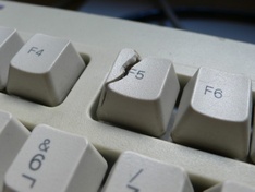 F5 button F5 button
