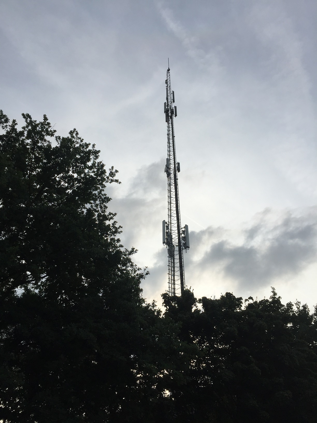 Afbeeldingslocatie: https://tweakers.net/ext/f/UaepbG1QRxo5IugH8vMaQ0qN/full.jpg