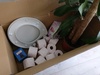 Box 
8-2018