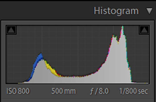 histogram