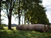 Afbeeldingslocatie: https://tweakers.net/ext/f/UjbRj8THeAcUnZz0RkE4JCxc/thumb.jpg