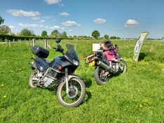 Afbeeldingslocatie: https://tweakers.net/ext/f/Usb02zT83Fyk7GhxGYEQbTuD/medium.jpg