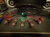 Molex