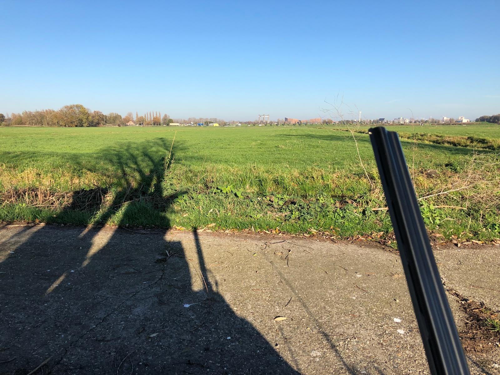 Afbeeldingslocatie: https://tweakers.net/ext/f/Vb77JKWlSiu9efhQnPh0j85M/full.jpg