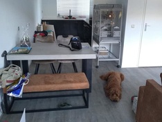 Afbeeldingslocatie: https://tweakers.net/ext/f/Vr71qzYcvFkGkGQrqidO1jz0/medium.jpg