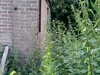 Afbeeldingslocatie: https://tweakers.net/ext/f/W0f95j9zPKeQfxj8FdTu1l5a/thumb.jpg