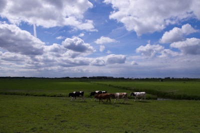 Afbeeldingslocatie: http://tweakers.net/ext/f/W9VaoGjD0XcmmbL6ipUcB1Mh/full.jpg