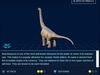 Brachiosaurus Brachiosaurus