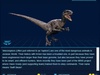 Velociraptor Velociraptor