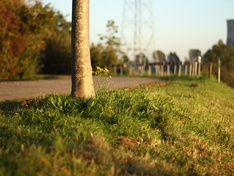 Afbeeldingslocatie: http://tweakers.net/ext/f/WfYlPi0W9avUYMhGHdaBtEvF/medium.jpg