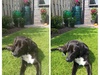 Afbeeldingslocatie: https://tweakers.net/ext/f/Wjxwww42B9gBrmY3lDSFx3z8/thumb.jpg