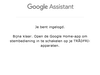Google home