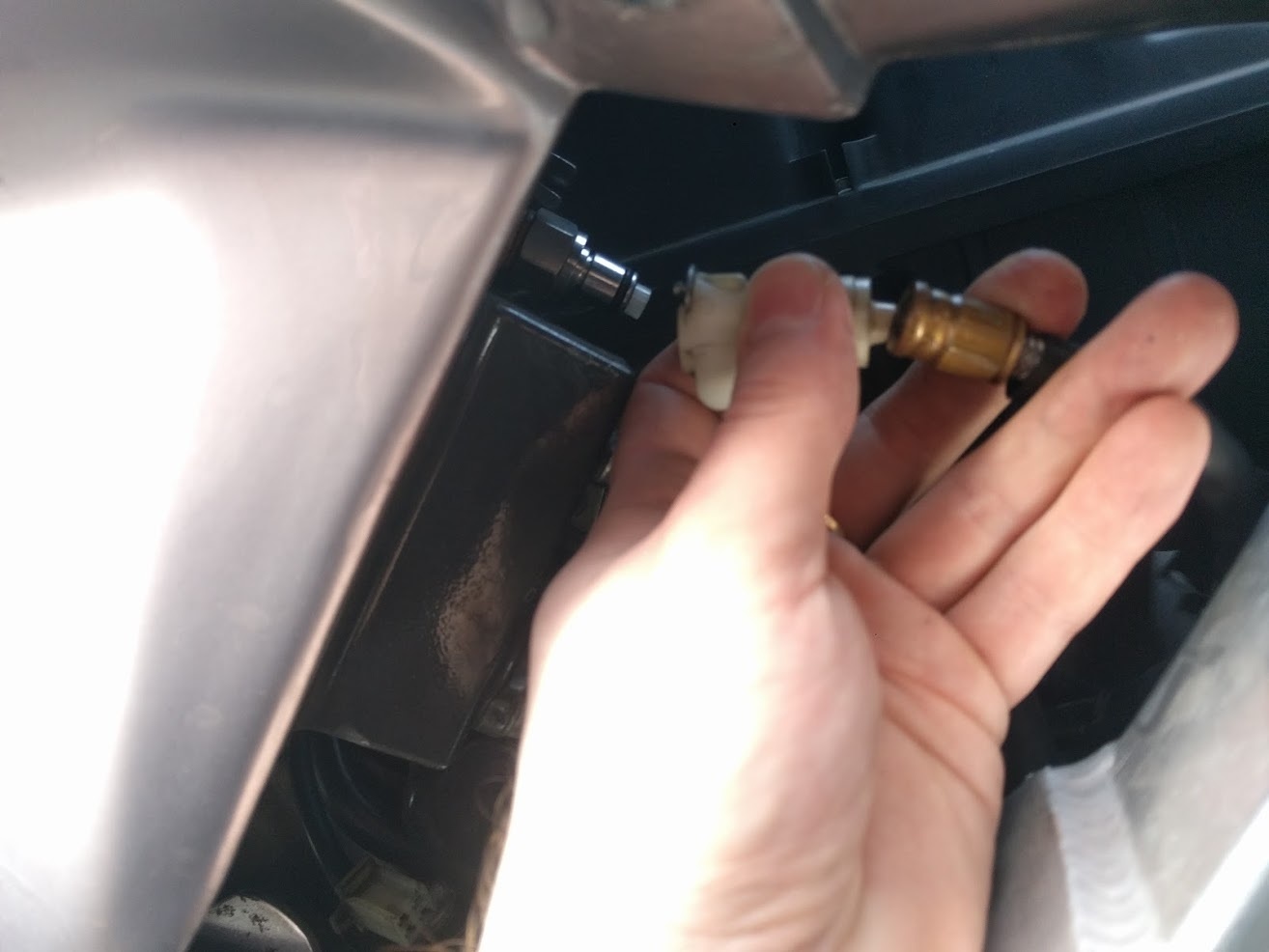 snelkoppeling van pecorino