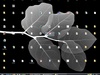 Afbeeldingslocatie: http://tweakers.net/ext/f/XGEfTukM1lIftxm8VtLJGXpy/thumb.jpg