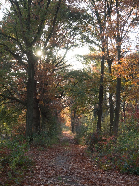 Afbeeldingslocatie: http://tweakers.net/ext/f/XTOC24ATSX5ZXp0pc0Audm1l/full.jpg