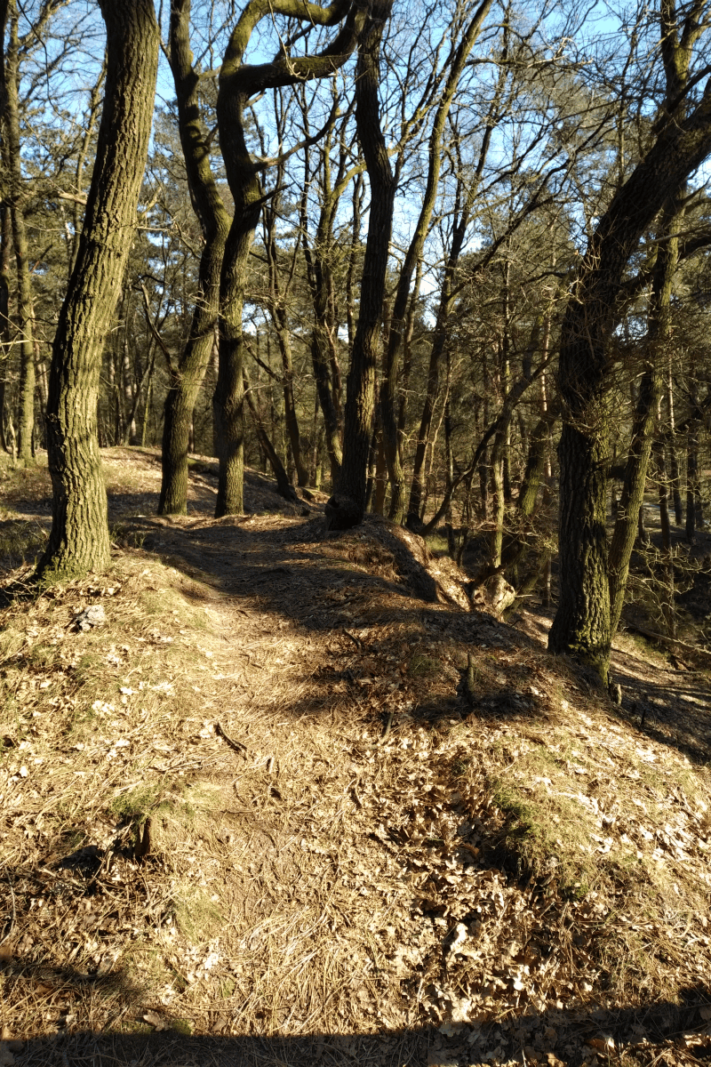 Afbeeldingslocatie: https://tweakers.net/ext/f/XW1G3ObBRVUaP1RdbICzWMmL/full.png