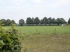 Afbeeldingslocatie: https://tweakers.net/ext/f/XkGkmPW44F5SHSyuRJU3N5e3/thumb.jpg