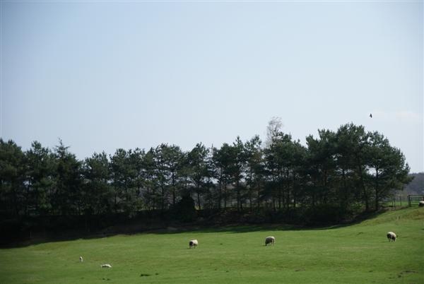 Afbeeldingslocatie: http://tweakers.net/ext/f/XphCrkBPvMeiH1nPt6X9CcBB/full.jpg