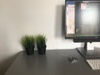 Afbeeldingslocatie: https://tweakers.net/ext/f/XvNGgPi4jUckc3fCGuDKGYVu/thumb.jpg