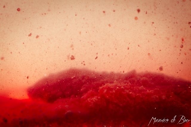 Chemical Reaction
