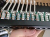 LSA strips