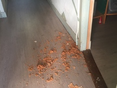 Afbeeldingslocatie: https://tweakers.net/ext/f/XzamqpcO16bWa3ZtXV47k1vD/medium.jpg