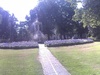zte-pano zte-pano