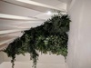 Verticale Tuin