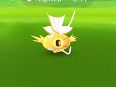 Shiny