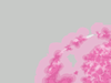 Afbeeldingslocatie: https://tweakers.net/ext/f/Z0RYtgicFf83PgNbldSWjjpf/thumb.png