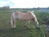 Foto gemaakt met de SGN