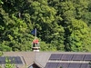 Nommerlayen, kraaijennest.
