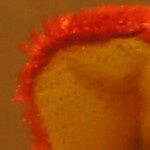 http://tweakers.net/ext/f/ZheRknWn5ZMgyGkNkcPLRhUF/full.jpg http://tweakers.net/ext/f/ZheRknWn5ZMgyGkNkcPLRhUF/full.jpg