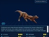 Ceratosaurus Ceratosaurus