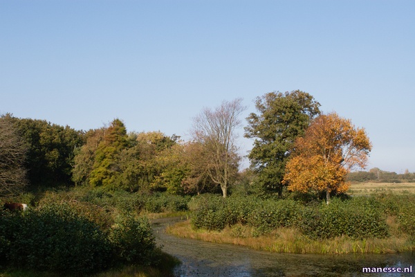 Afbeeldingslocatie: http://tweakers.net/ext/f/a003c3475656ac1d88a562f729ffd0b7/full.jpg