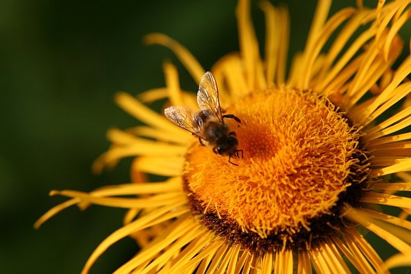 Afbeeldingslocatie: http://tweakers.net/ext/f/a219228e13a9e7a99c1196ec387c1e34/full.jpg