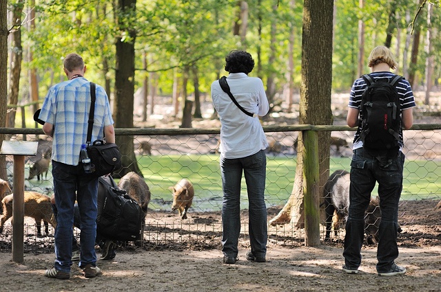 Afbeeldingslocatie: http://tweakers.net/ext/f/aOPUyUZf8p8lH3ZCeBQkr1O1/full.jpg