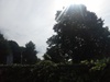 Foto richting de zon