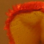 http://tweakers.net/ext/f/abxix8jbxH1diks8ZraOwDpP/full.jpg http://tweakers.net/ext/f/abxix8jbxH1diks8ZraOwDpP/full.jpg
