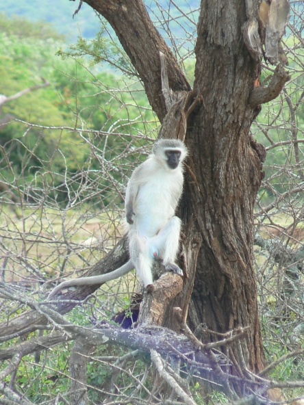 Afbeeldingslocatie: http://tweakers.net/ext/f/ahJ5HyCvCWkubkqh6u2h9dGu/full.jpg